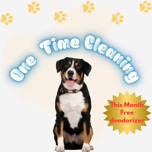 One-Time Dog Poop Cleanup – Orange County