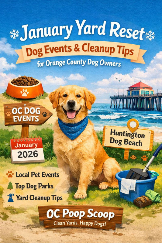 January community guide for Orange County dog owners featuring local dog events, dog-friendly parks, and yard cleanup tips by OC Poop Scoop