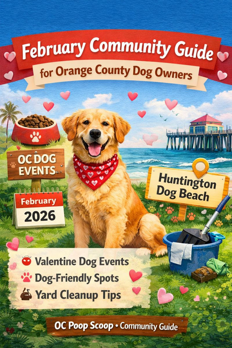February community guide for Orange County dog owners featuring dog events, dog-friendly parks, and yard cleanup tips