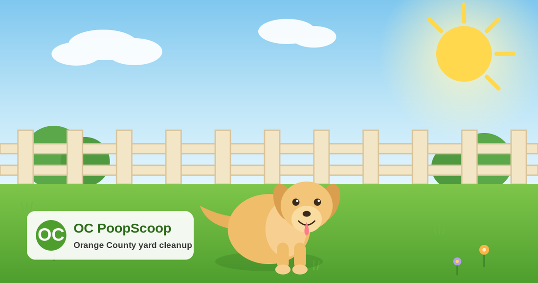 Happy golden dog in a sunny green Orange County backyard with a white fence — OC PoopScoop summer yard cleanup